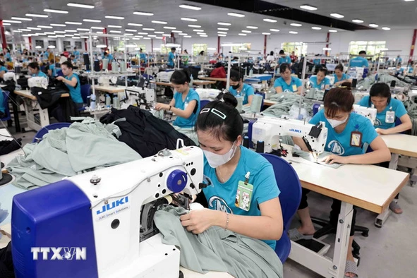 Los principales productos vietnamitas exportados a Bulgaria incluyen fibras, café, caucho, arroz, calzado, teléfonos y componentes electrónicos. (Foto: VNA)