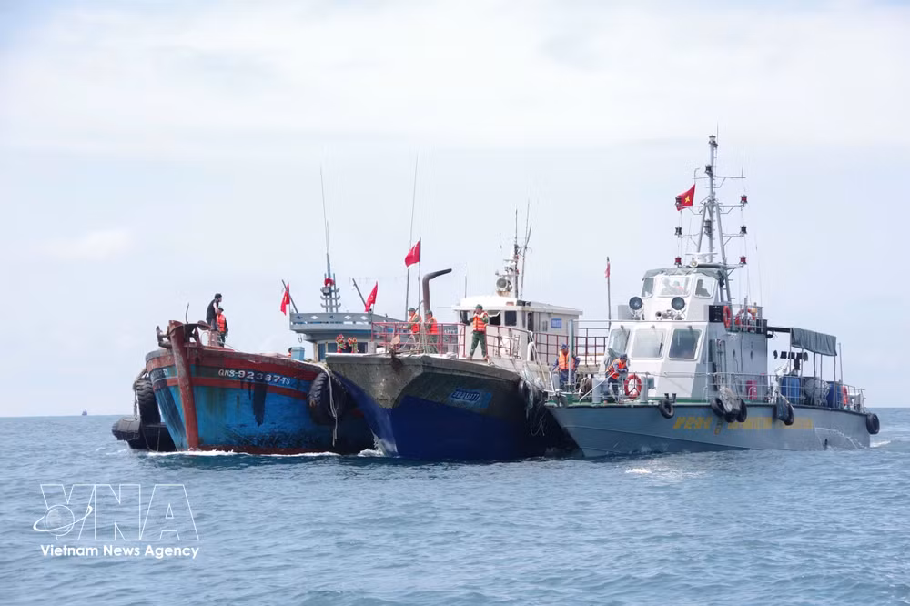 vnanet-ung-cuu-1.jpg