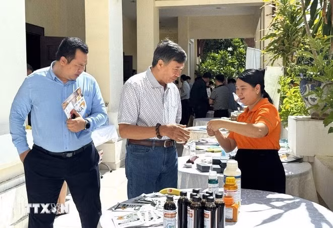 dian-dan-doanh-nghiep-tai-campuchia.jpg
