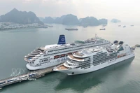 Los cruceros de lujo Seabourn Encore y Piano Land llegan a la provincia de Quang Ninh en el primer día del Año Nuevo Lunar. (Fuente: VNA)