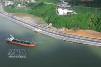 El puerto de Lien Chieu amplía potencial de economía marítima de ciudad de Da Nang. (Fuente: VNA)