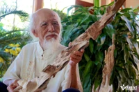 Dinh Cong Anh, pionero en introducir el oficio de extraer madera de agar en la localidad. (Fuente: vietnamnet.vn)