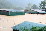 Fuertes lluvias e inundaciones han anegado numerosas viviendas en la comuna de Trung Ha, provincia central de Thanh Hoa. (Foto: VNA)