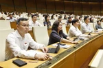 En el noveno período de sesiones de la XV Legislatura del Parlamento (Fuente: VNA)