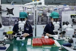 Fabricación de componentes electrónicos en la empresa Sumida de inversión japonesa en el Parque Industrial de Tinh Phong, provincia de Quang Ngai (Foto: VNA)
