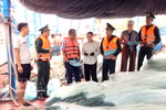 Las autoridades de Hai Phong han establecido estaciones de monitoreo de embarcaciones pesqueras, con personal de guardia las 24 horas del día (Fuente: VNA)