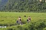 Turistas extranjeros visitan el sitio de turismo comunitario de Viet Hai (Foto: VNA)