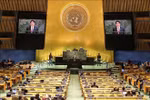 Presidente de Vietnam destaca el valor de la paz en la ONU