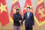 El presidente Luong Cuong (derecha) y su homólogo de Sri Lanka, Anura Kumara Dissanayak (Fuente: VNA)
