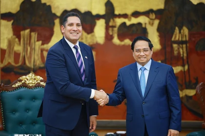 El primer ministro de Vietnam, Pham Minh Chinh, recibe al embajador de Suecia en Vietnam, Johan Ndisi. (Foto: VNA)