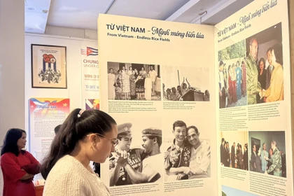 Visitantes internacionales visitan la exposición. Foto: VNA