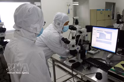 Investigación científica en el Centro de I+D del Parque de Alta Tecnología de Ciudad Ho Chi Minh. (Foto: VNA)