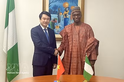 El viceministro de Relaciones Exteriores, Le Anh Tuan, sostiene conversaciones con su homólogo de Nigeria, Dunoma Umar Ahmed. Foto: VNA