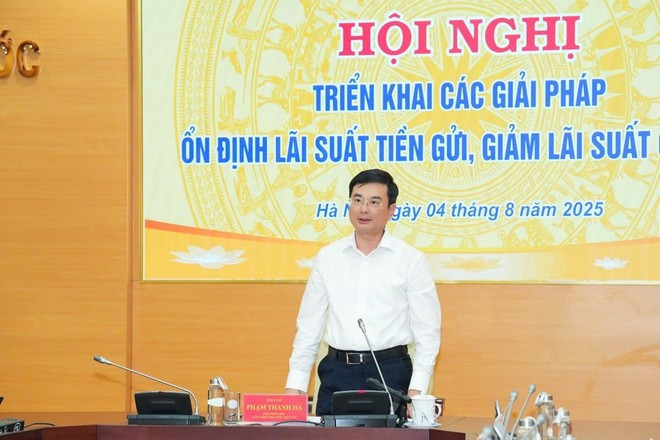 El vicegobernador Pham Thanh Ha habla en la Conferencia. (Foto: Vietnam+) fbe2aad4115d9803c14c.jpg