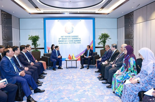 En la reunión. (Fuente: VNA) vna-potal-thu-tuong-pham-minh-chinh-gap-quoc-vuong-brunei-hassanal-bolkiah-8056617.jpg