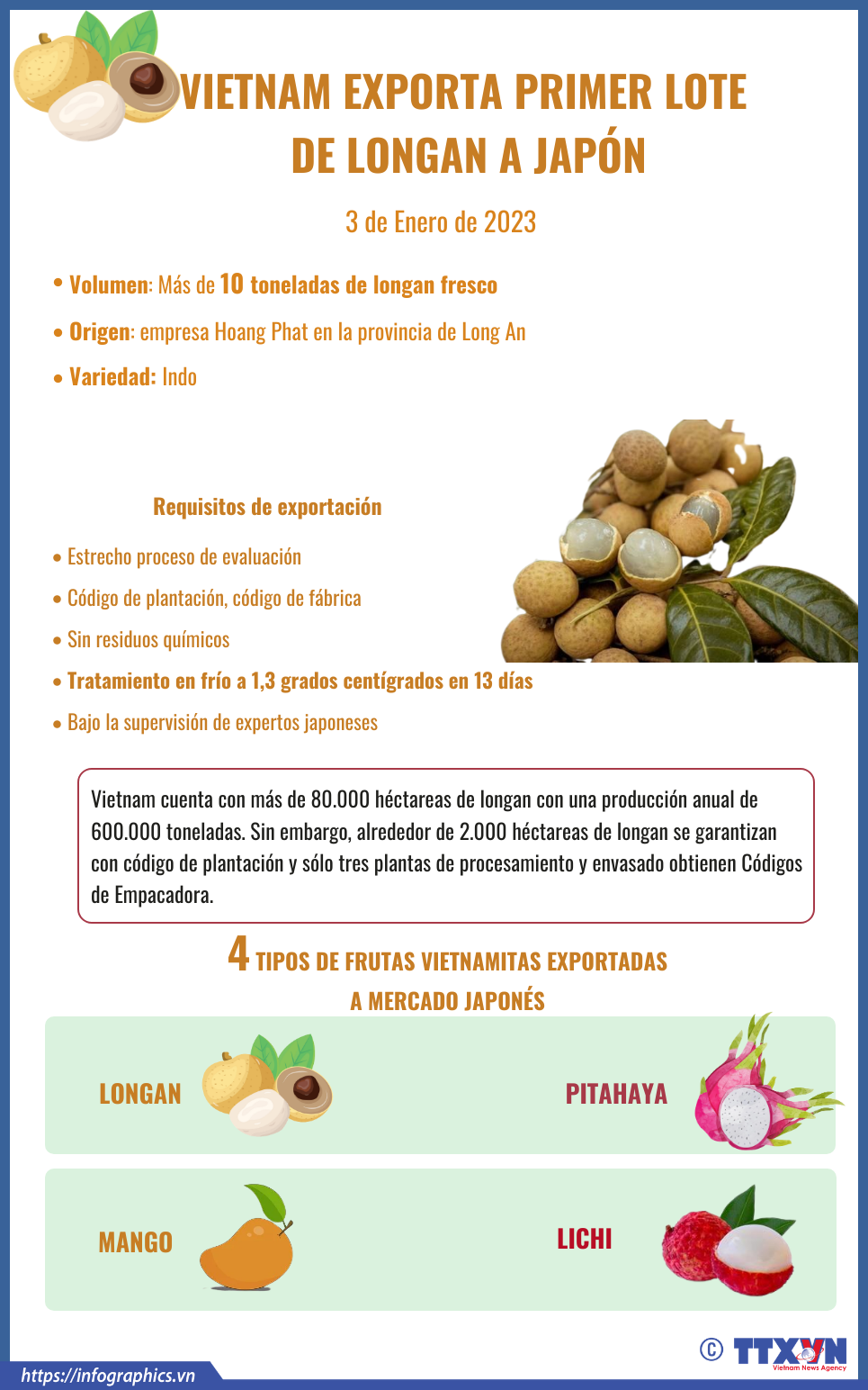 Vietnam exporta primer lote de longan a Japón ảnh 1