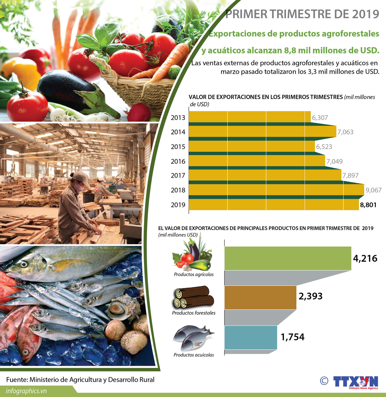 [Info] Exportaciones de productos agroforestales y acuáticos alcanzan 8,8 mil millones de USD ảnh 1