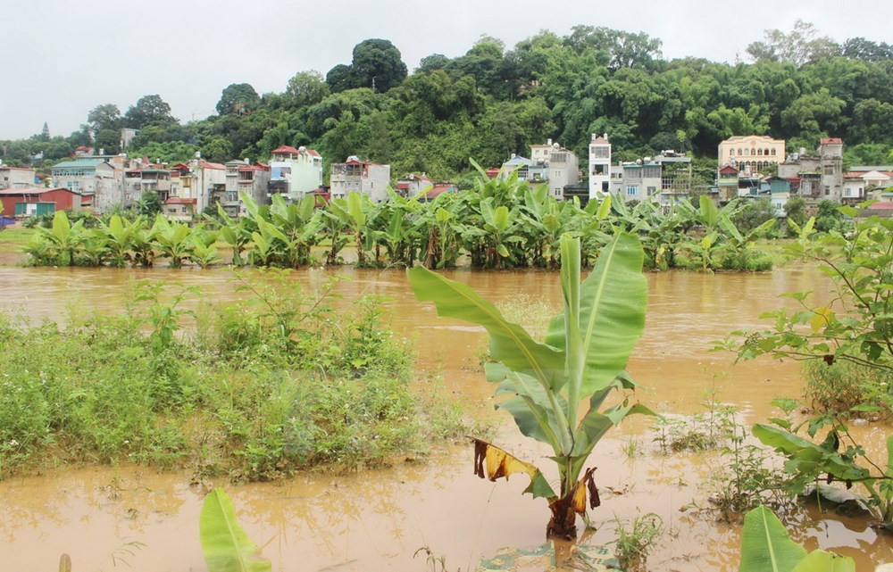 Diversas áreas en la provincia norteña de Son La anegadas por inundaciones ảnh 5 Diversas áreas en la provincia norteña de Son La anegadas por inundaciones ảnh 5