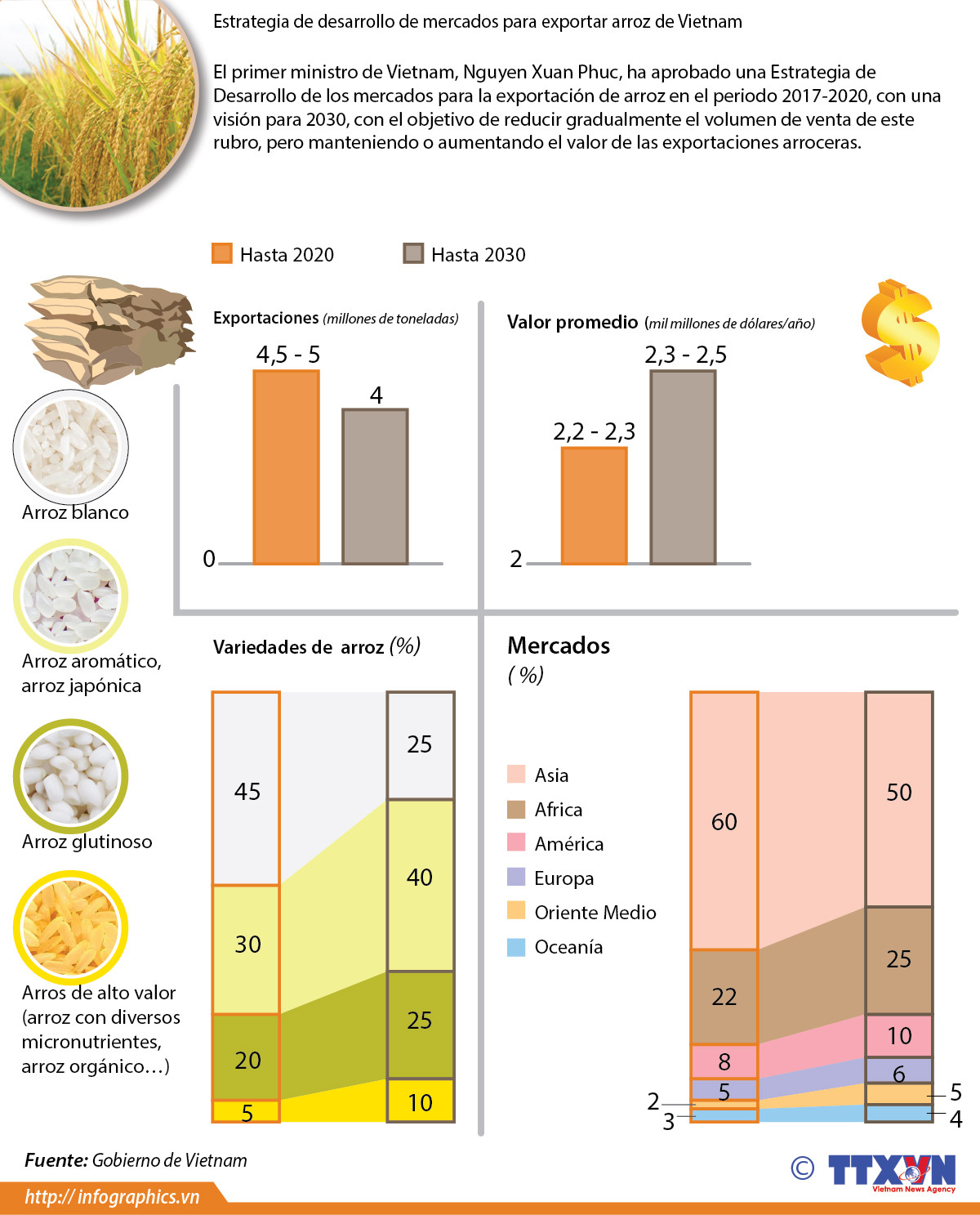 Estrategia de desarrollo de mercados para exportar arroz de Vietnam ảnh 1