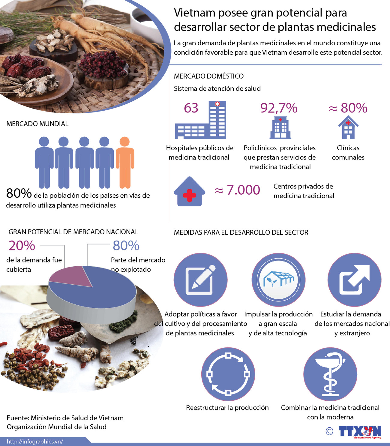 [Infografia] Vietnam con gran potencial de desarrollar plantas medicinales ảnh 1