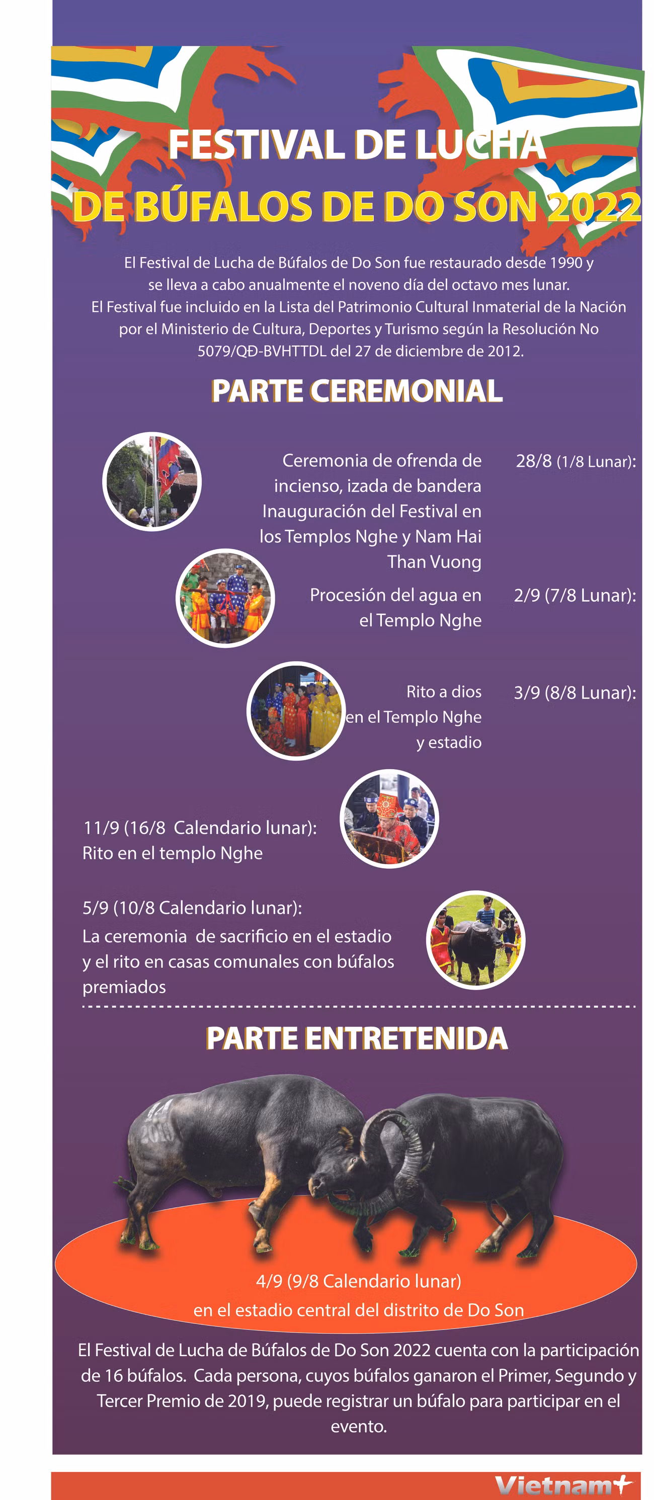 Festival de Lucha de Búfalos de Do Son 2022 ảnh 1