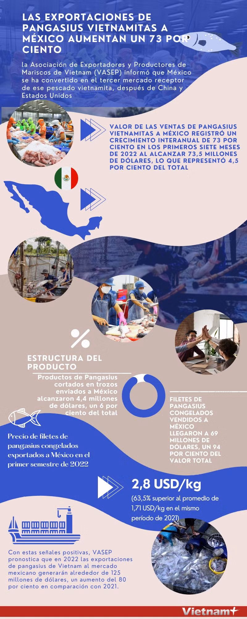 Exportaciones de pangasius vietnamitas a México aumentan un 73 por ciento ảnh 1