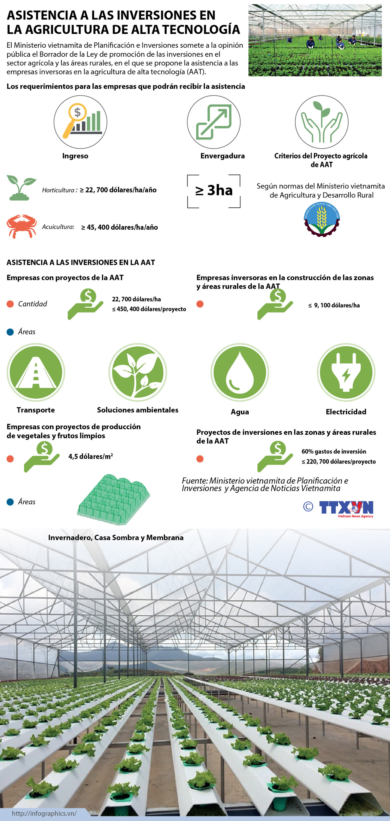 [Infografia] Asistencia a inversiones en agricultura de alta tecnología ảnh 1