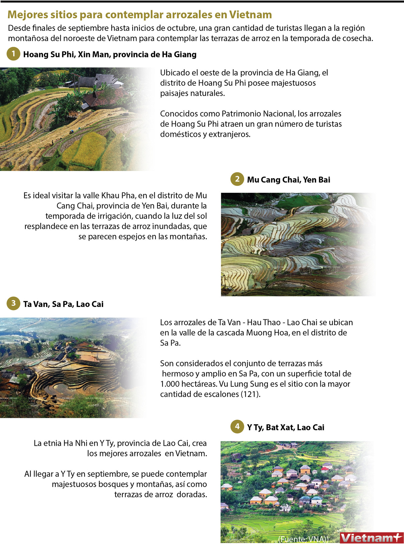 Mejores sitios para contemplar arrozales en Vietnam ảnh 1