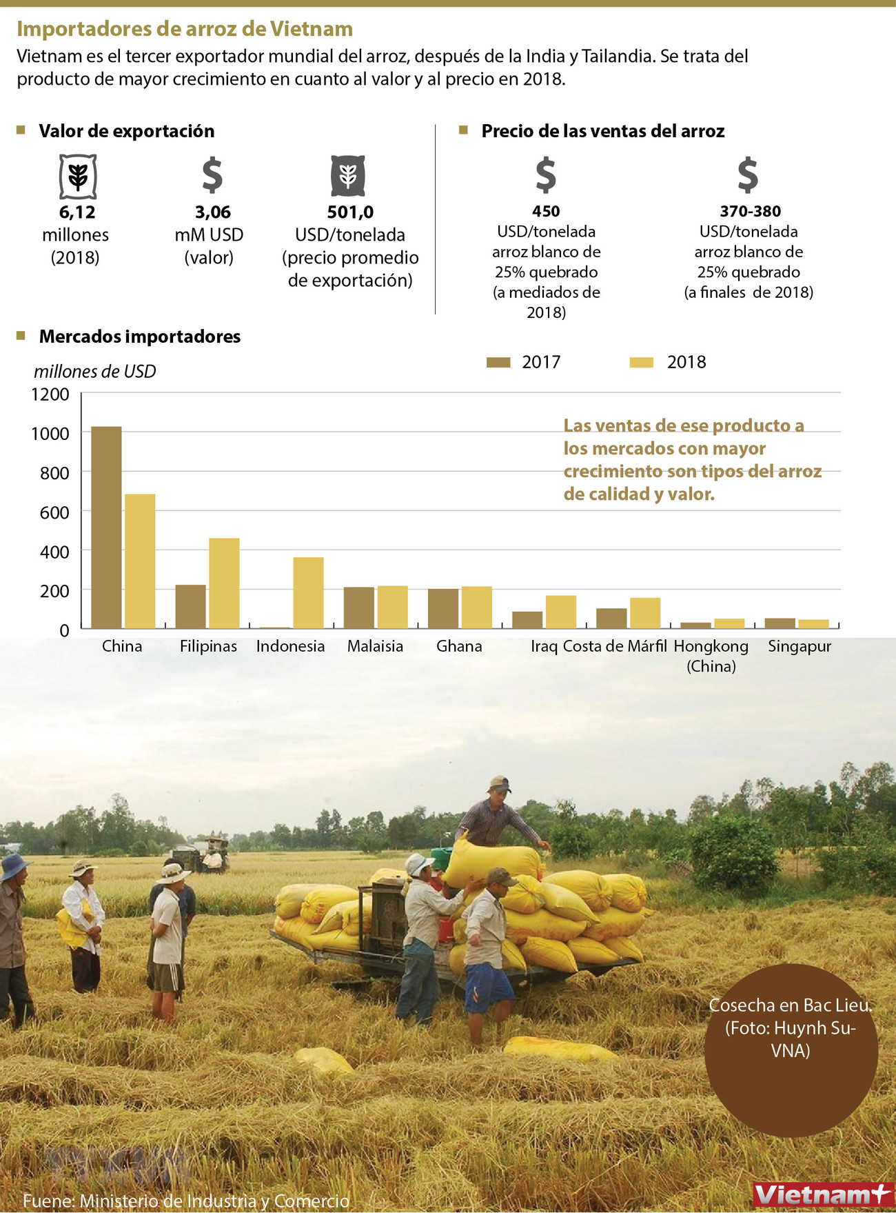 Mercados importadores del arroz de Vietnam ảnh 1