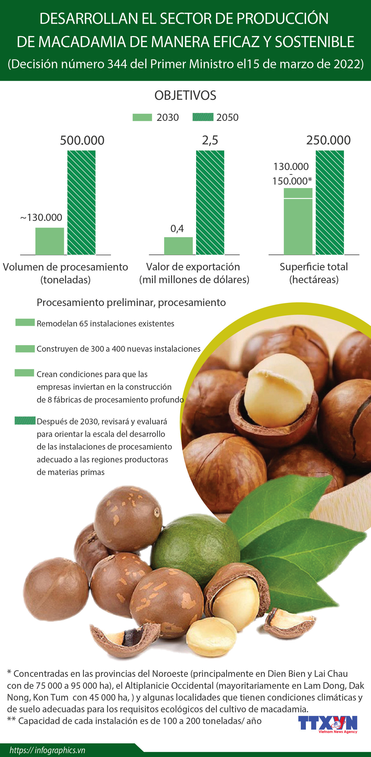Desarrollan el sector de producción de macadamia de manera eficaz y sostenible ảnh 1 Desarrollan el sector de producción de macadamia de manera eficaz y sostenible ảnh 1