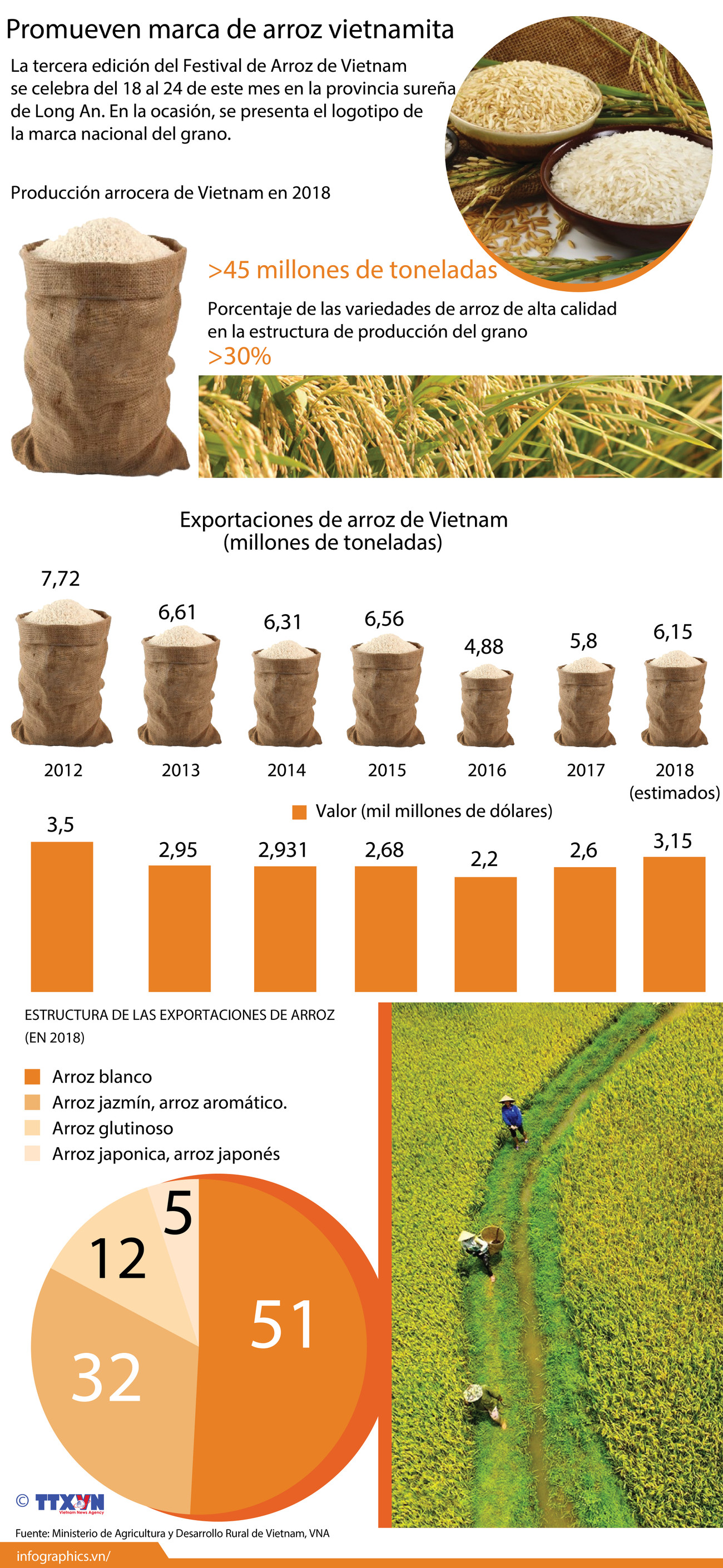 [Infografia] Promueven marca de arroz vietnamita ảnh 1