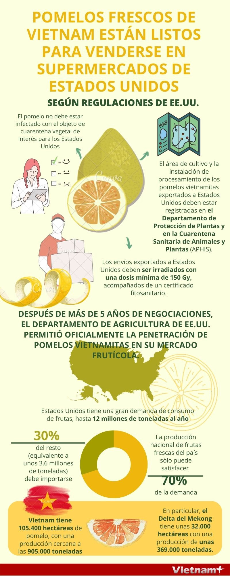 Pomelos frescos de vietnam están listos para venderse en supermercados de Estados Unidos ảnh 1 Pomelos frescos de vietnam están listos para venderse en supermercados de Estados Unidos ảnh 1