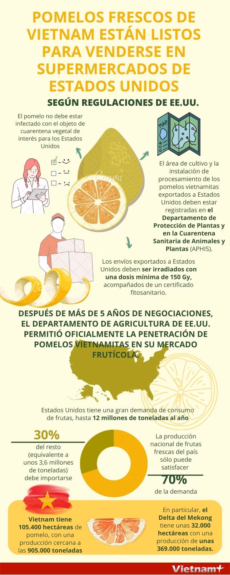 Pomelos frescos de vietnam están listos para venderse en supermercados de Estados Unidos ảnh 1