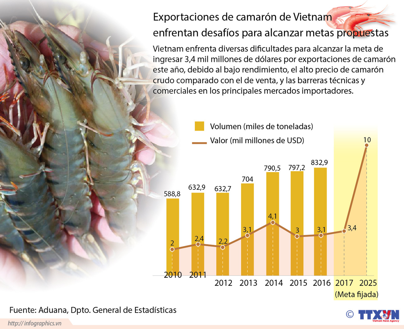 [Infografía] Enfrentan desafíos exportaciones de camarón de Vietnam ảnh 1