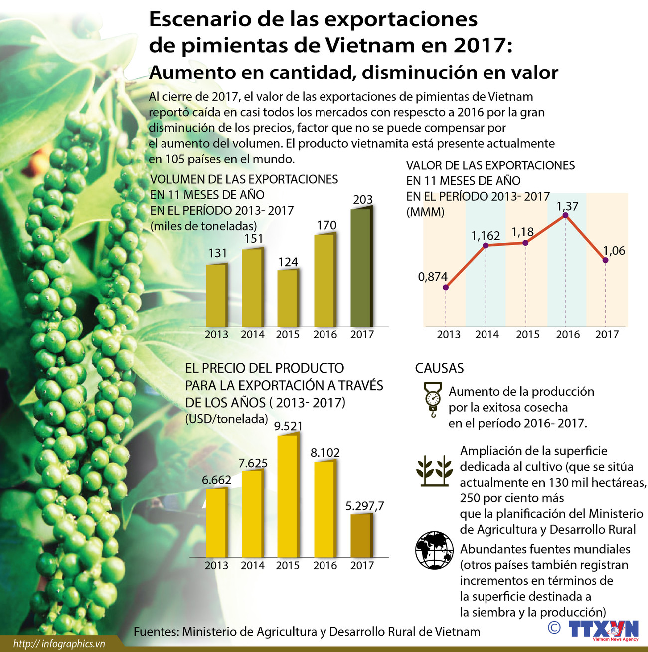 [Infografía] Exportaciones de piminentas de Vietnam en 2017: aumento en cantidad, disminución en valor ảnh 1
