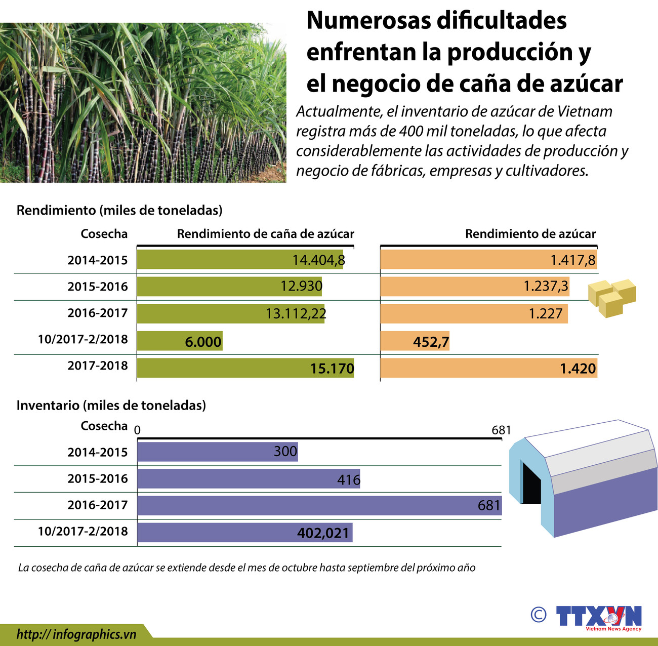 Numerosas dificultades enfrentan la producción y el negocio de caña de azúcar ảnh 1
