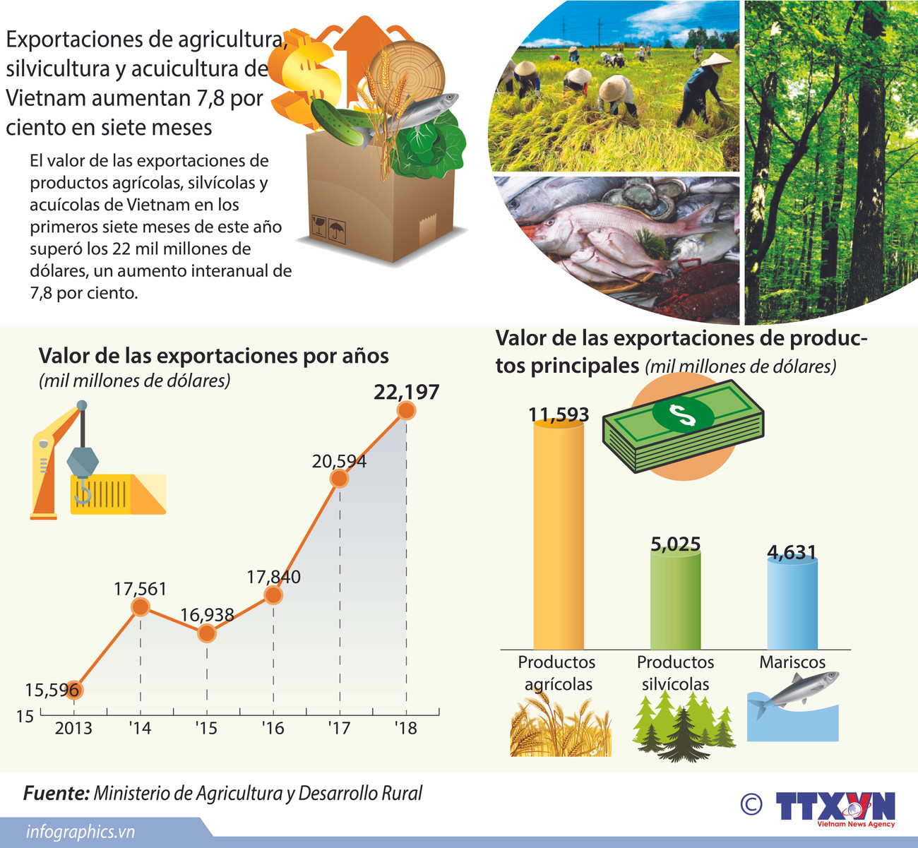 [Infografía] Exportación de agricultura, silvicultura y acuicultura de Vietnam aumentan 7,8 por ciento en siete meses ảnh 1