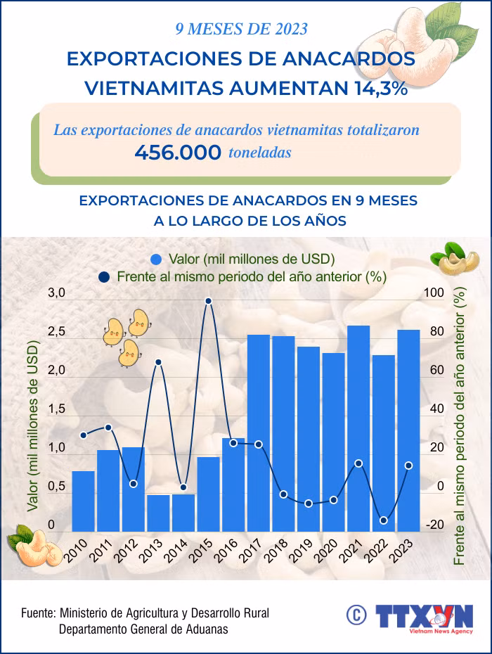 Exportaciones de anacardos vietnamitas aumentan 14,3% ảnh 1 Exportaciones de anacardos vietnamitas aumentan 14,3% ảnh 1