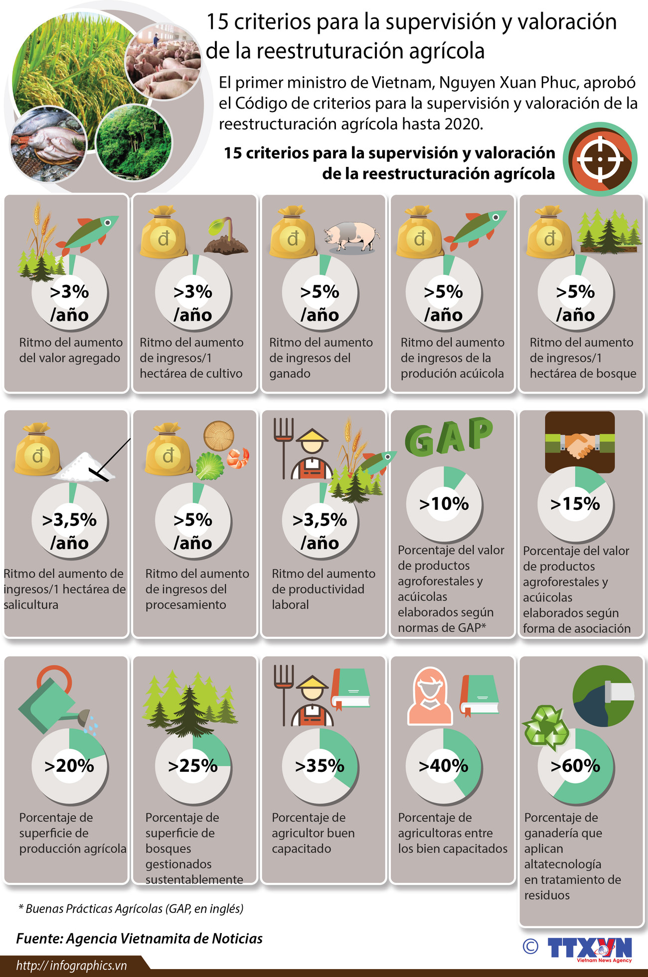 [Infografía] 15 criterios para la supervisión y valoración de la reestruturación agrícola ảnh 1