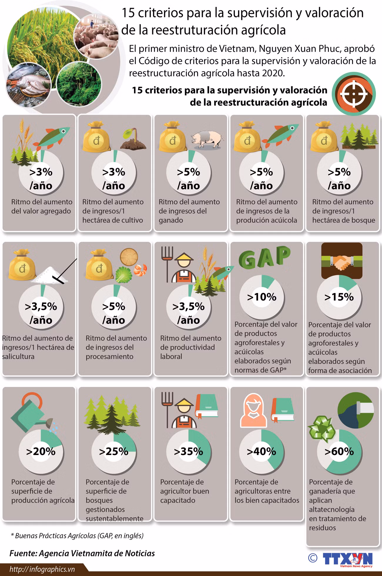 [Infografía] 15 criterios para la supervisión y valoración de la reestruturación agrícola ảnh 1