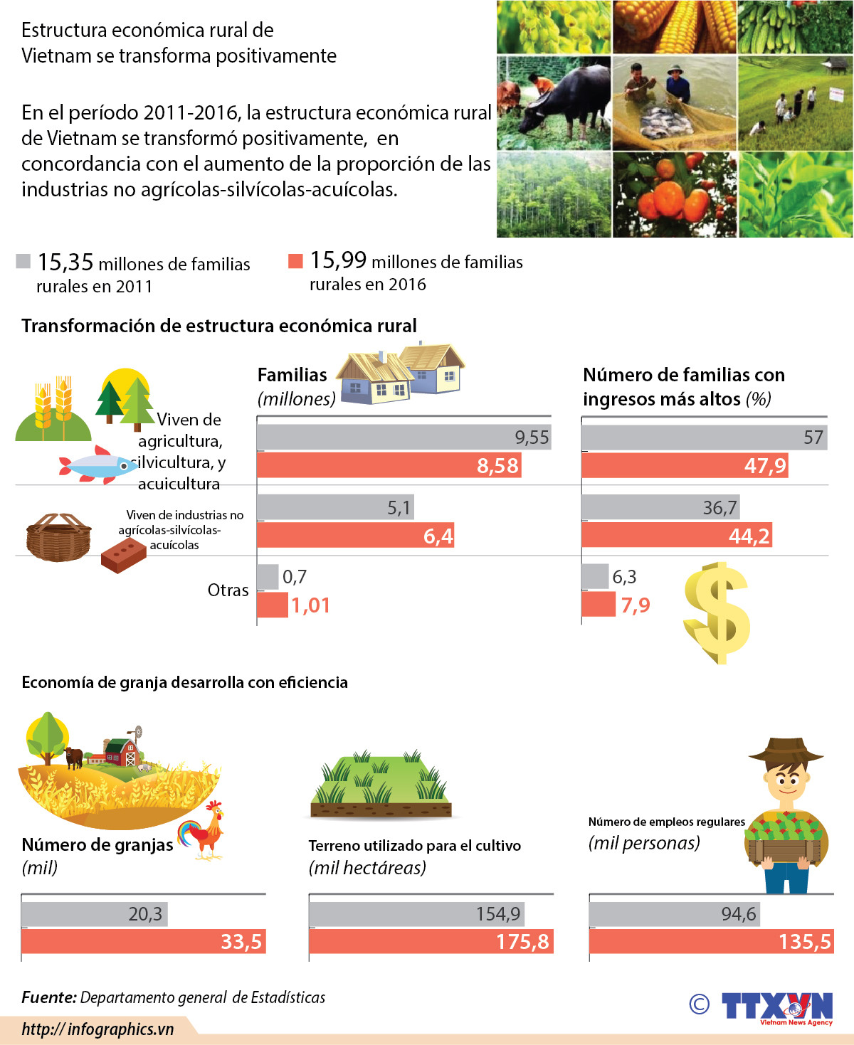 Estructura económica rural de Vietnam se transforma positivamente ảnh 1