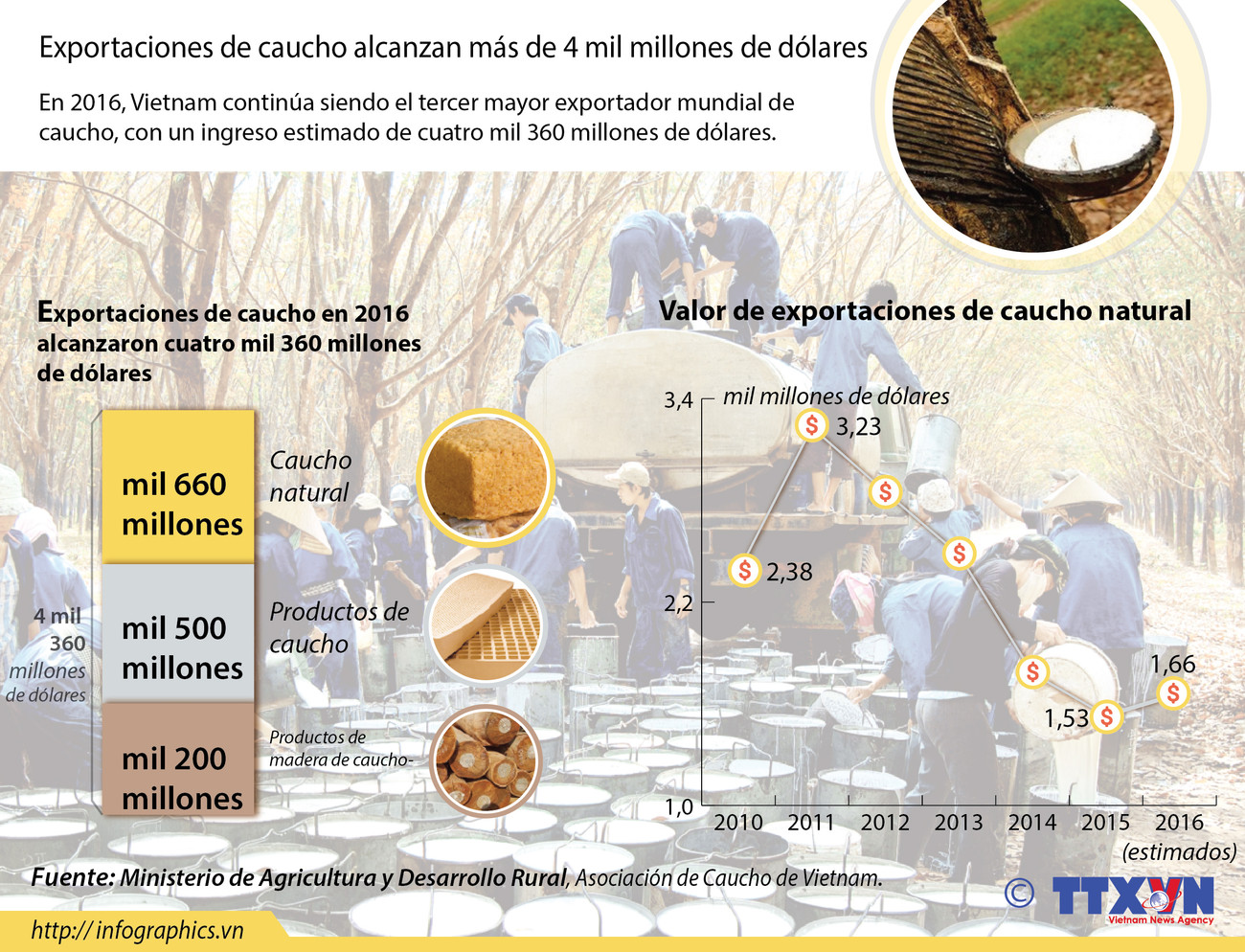Exportaciones de caucho alcanzan más de cuatro mil millones de dólares ảnh 1