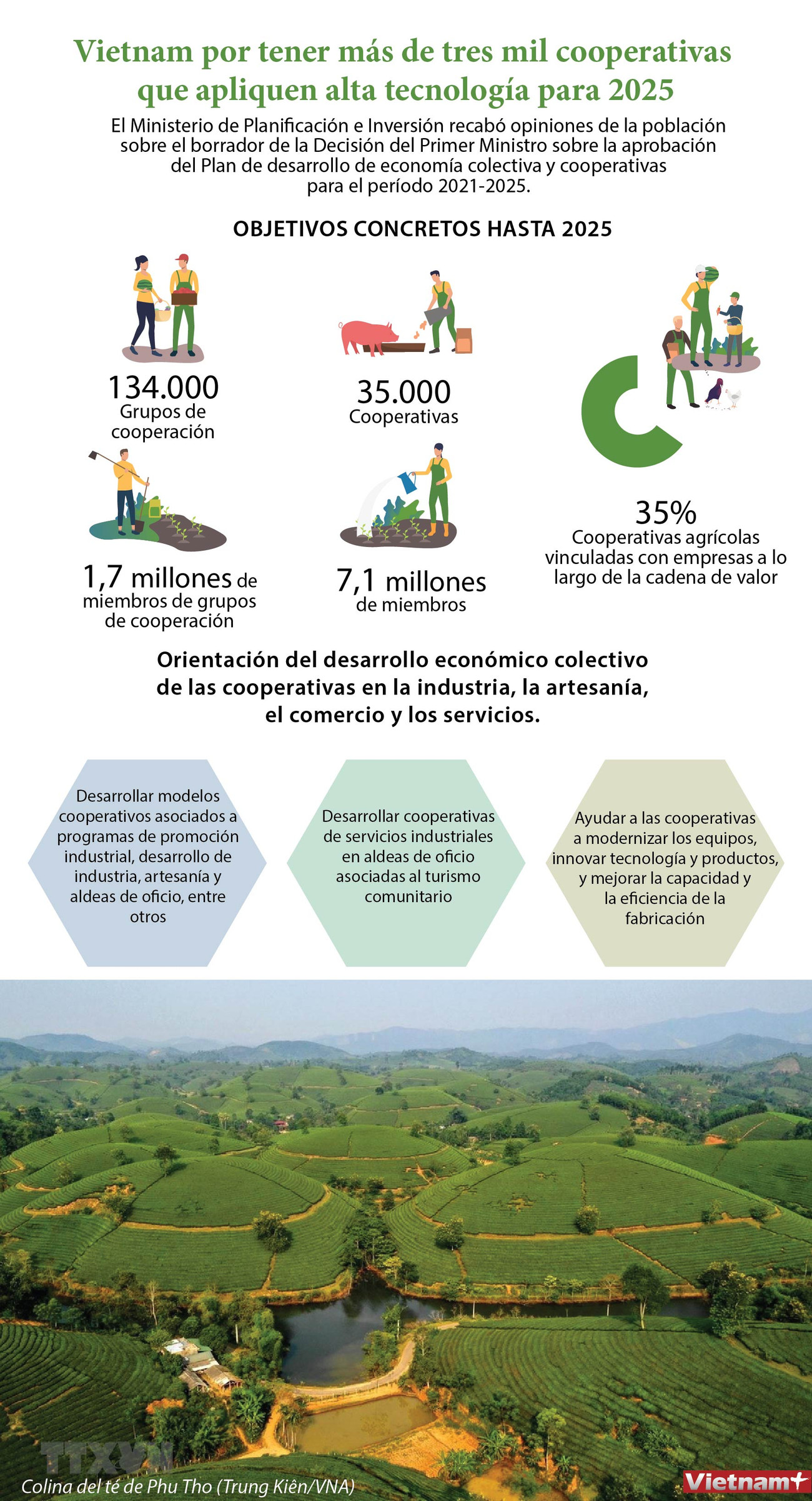 Vietnam por tener más de tres mil cooperativas que apliquen alta tecnología para 2025 ảnh 1