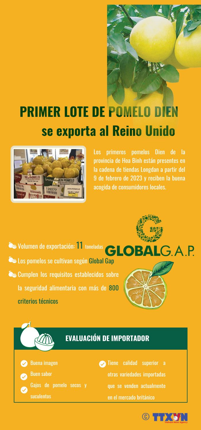 Primer lote de pomelo Dien se exporta al Reino Unido ảnh 1