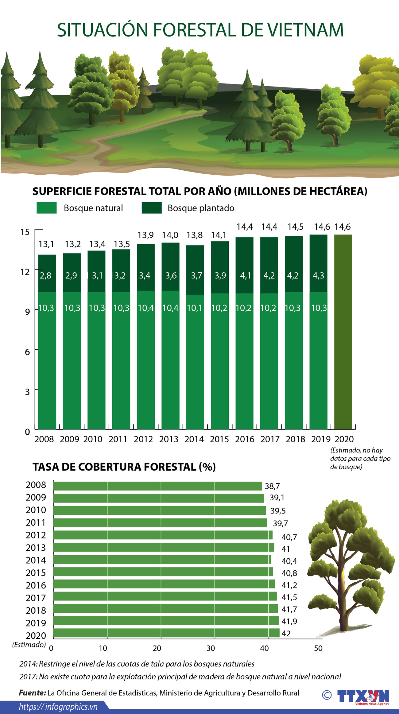 Situación forestal de Vietnam en los últimos años ảnh 1