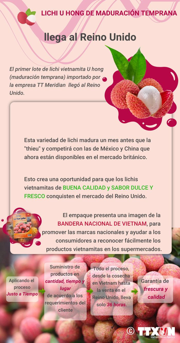 Llega a Reino Unido primer lote de lichi vietnamita U hong ảnh 1