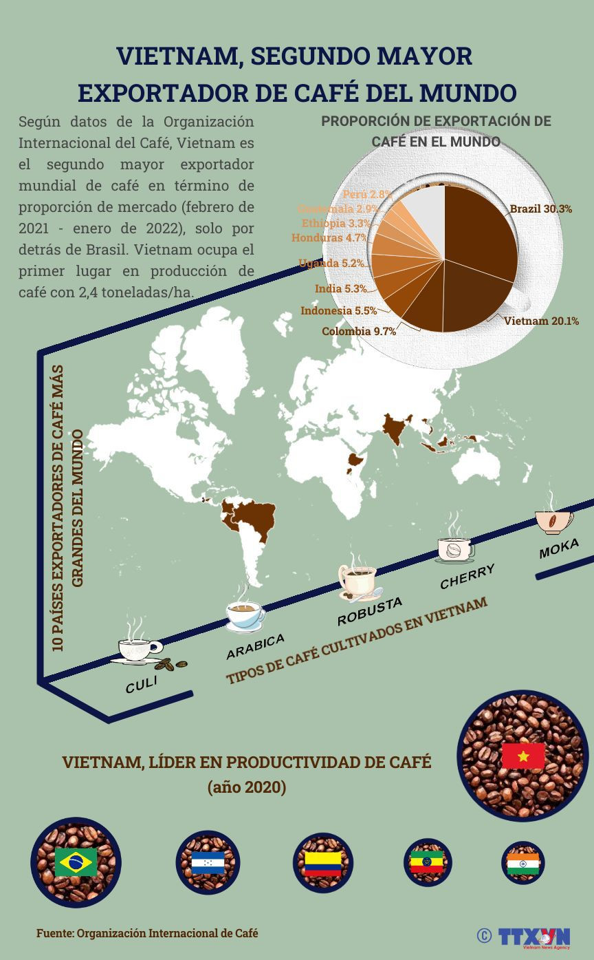 Vietnam, segundo mayor exportador de café del mundo ảnh 1