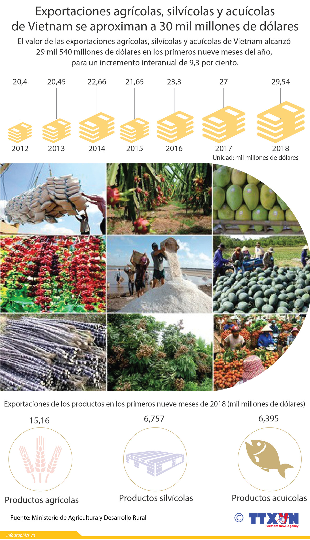 [Infografía] Exportaciones agrícolas de Vietnam crecen en 9,3 por ciento ảnh 1