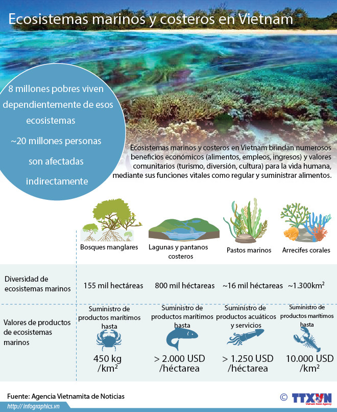 [Infografia] Ecosistemas marinos y costeros en Vietnam ảnh 1