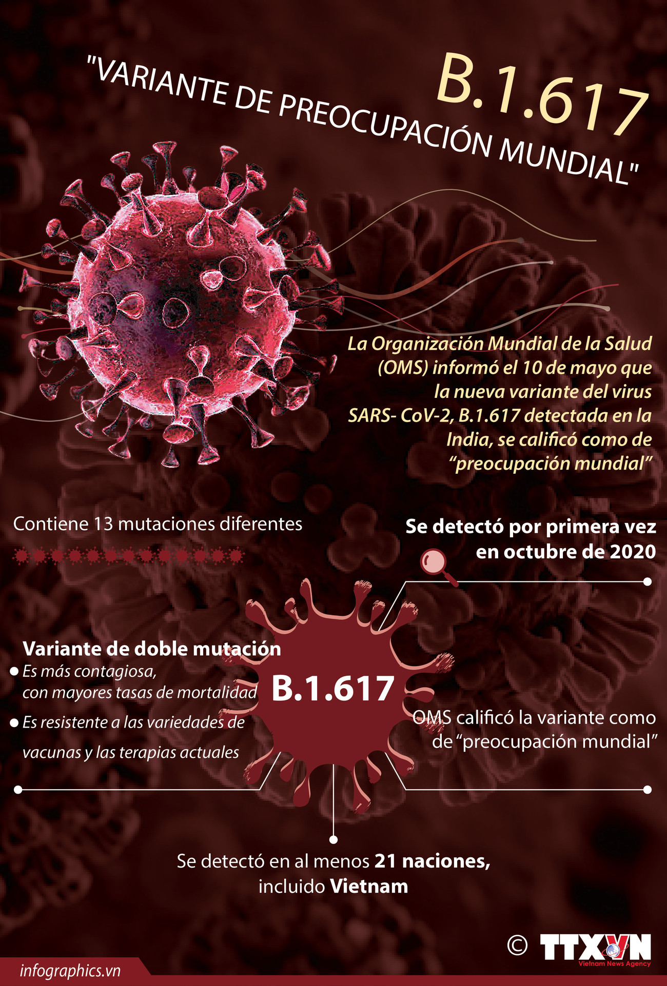 OMS califica la variante B.1.617 como de preocupación mundial ảnh 1